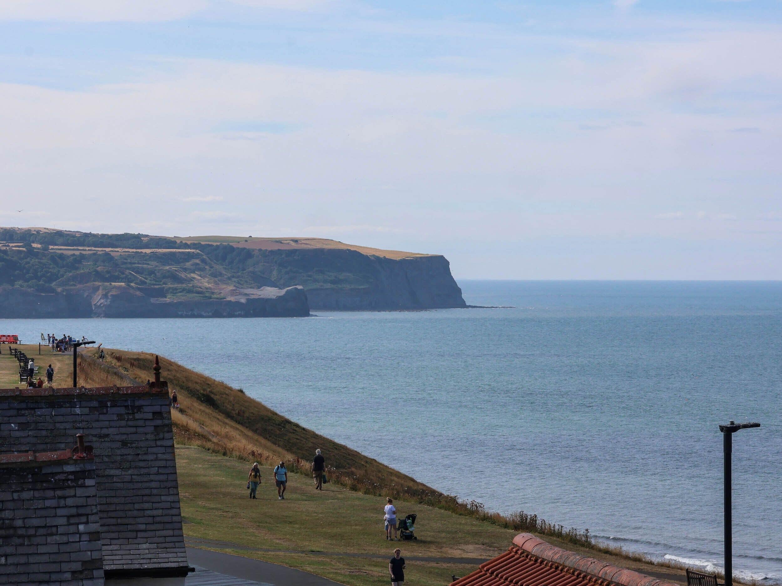 A coastal landscape with a grassy area, a cliff, and a body of water.