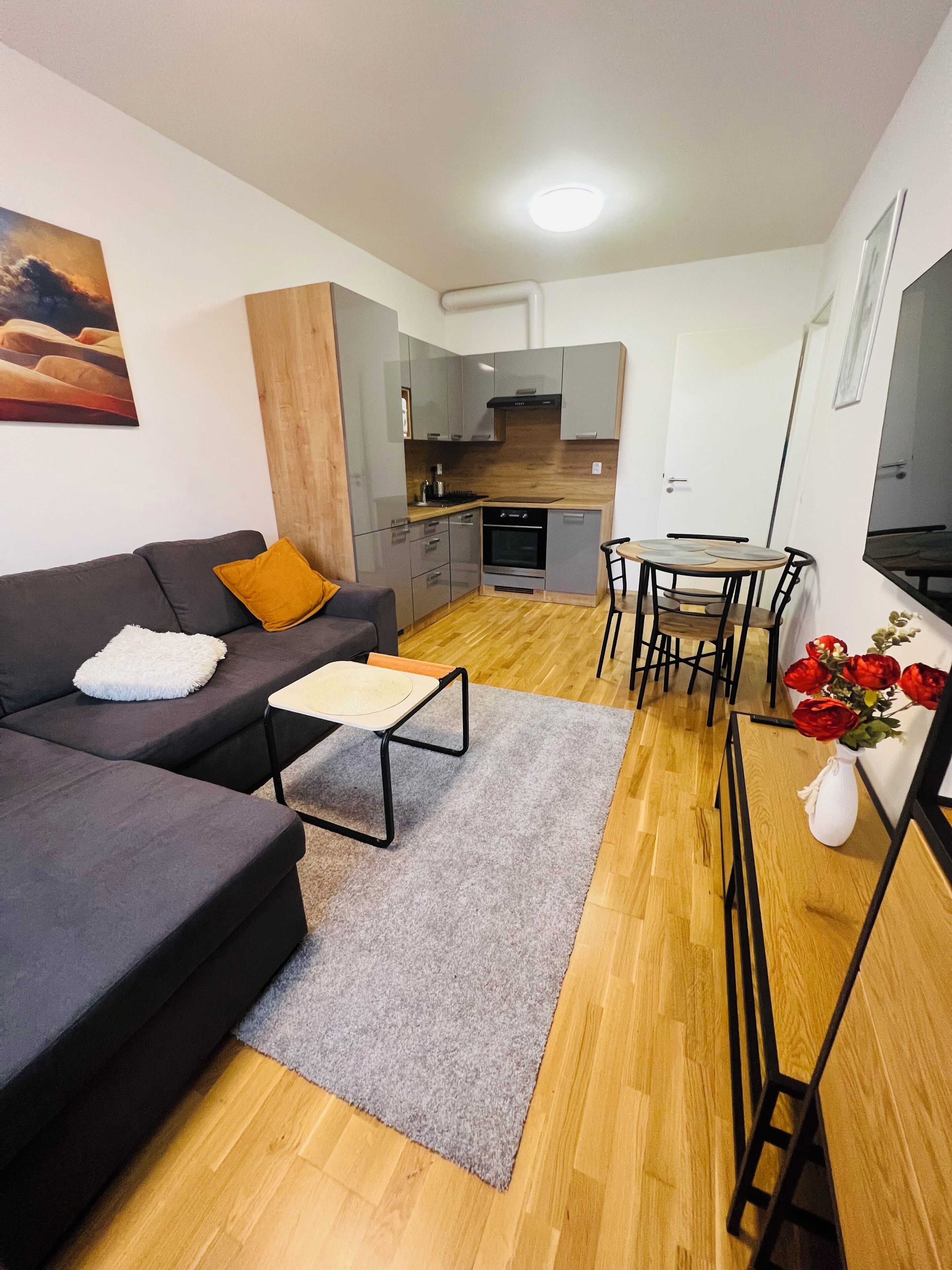 En kompakt opholdsstue med sofa, lille bord, spiseplads og et tekøkken.