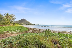 Apartment (2 Bedrooms) | Interior - 17 Ocean Legend (Tamarin)