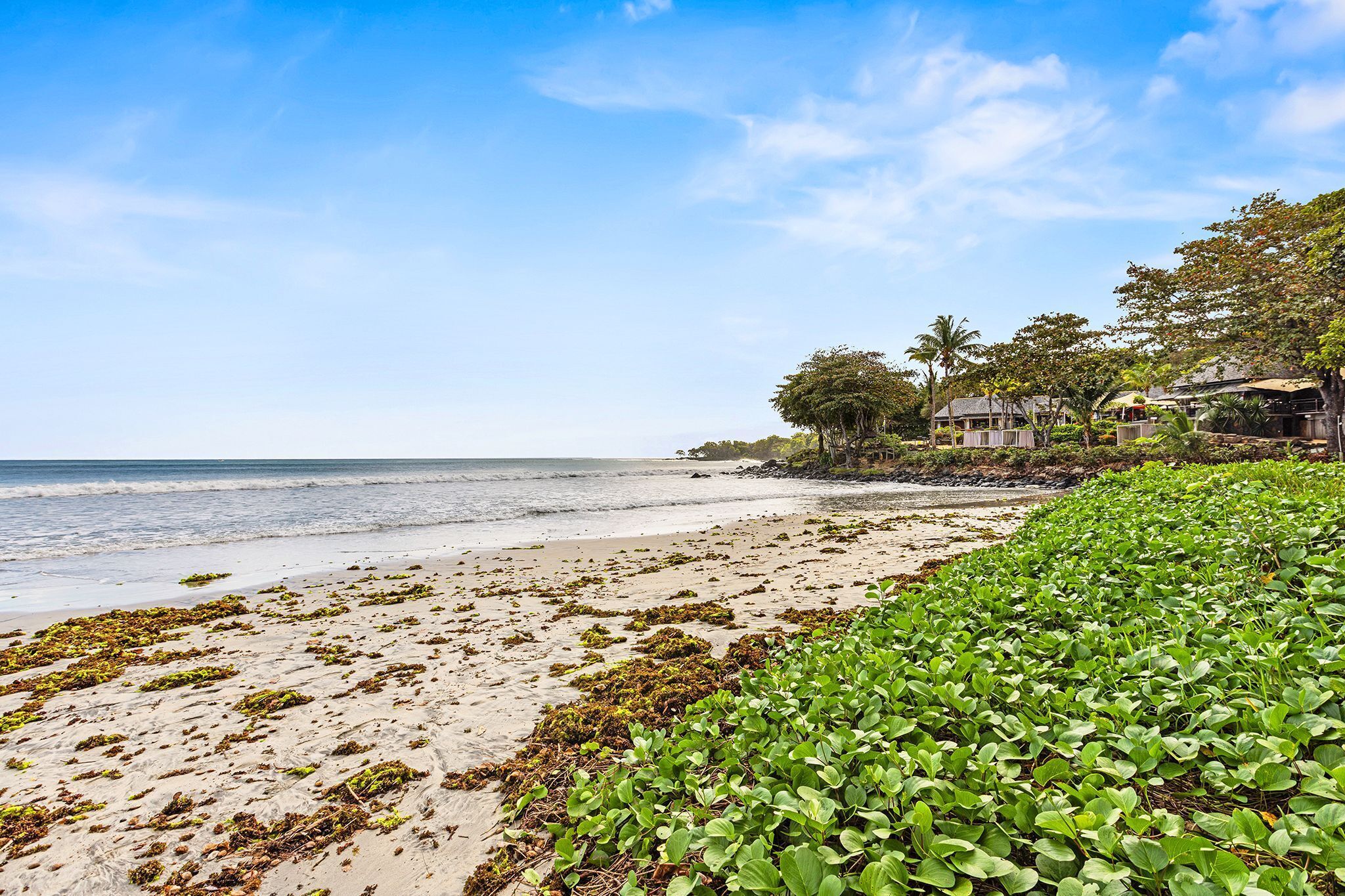 Una spiaggia con alghe e vegetazione verde, un cielo sereno e un edificio con tetto di paglia.