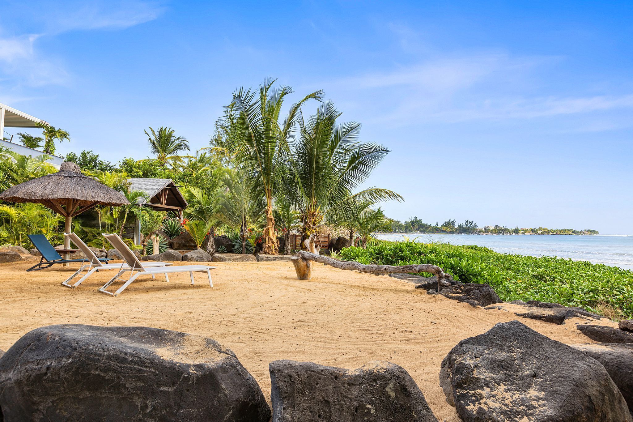 A beach with lounge chairs, a thatched-roof hut, palm trees, and a view of the ocean.