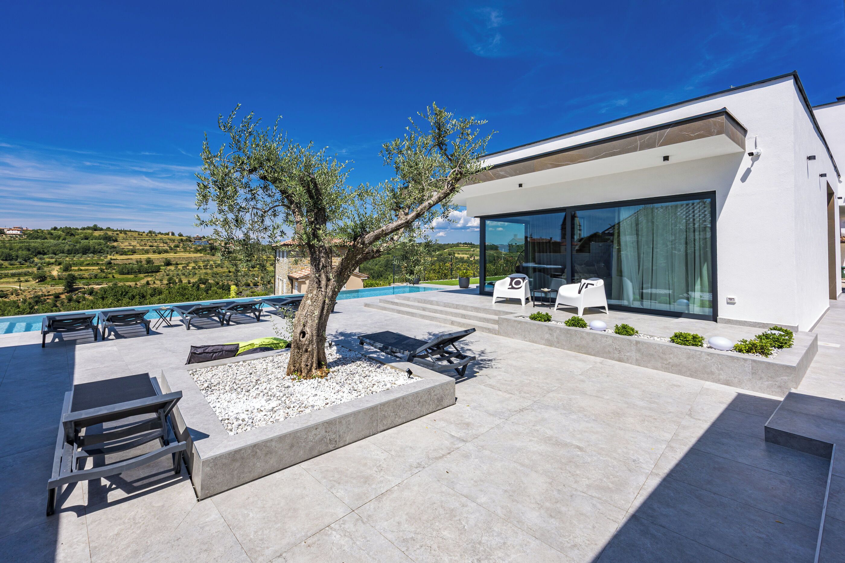 Eine moderne Außenpatio mit Pool, Liegestühlen und einem Baum.