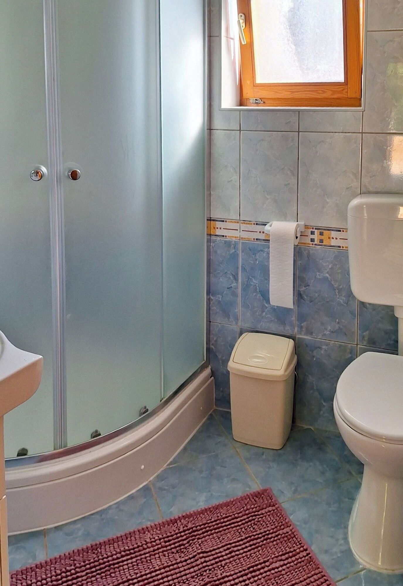 A bathroom with a glass shower enclosure, a toilet, a trash bin, and a towel rack.