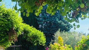 A garden with a gravel path, potted plants, a stone wall, and a metal fence. - "A Provençal Getaway for Two in Haute-Provence" (Revest-Saint-Martin)