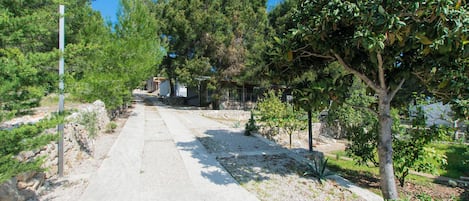 中庭