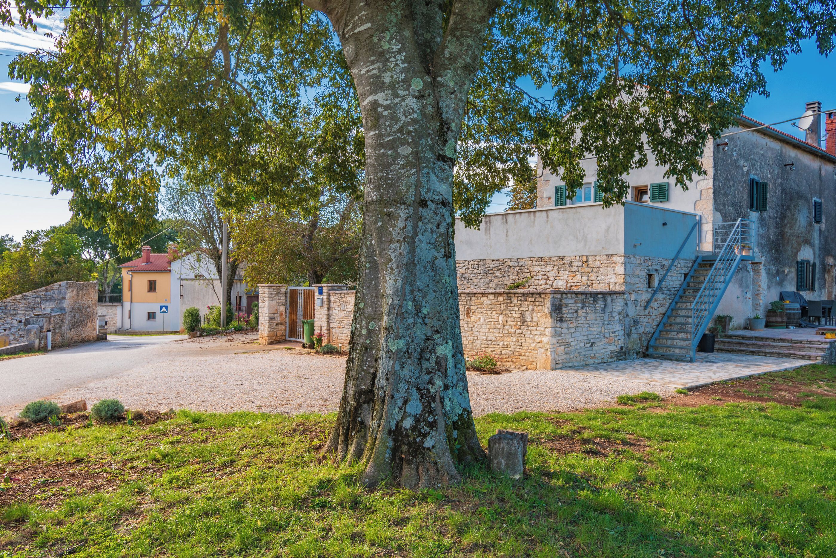 A tree-lined street with stone buildings, a gravel driveway, and a staircase leading to a building with a stone facade.