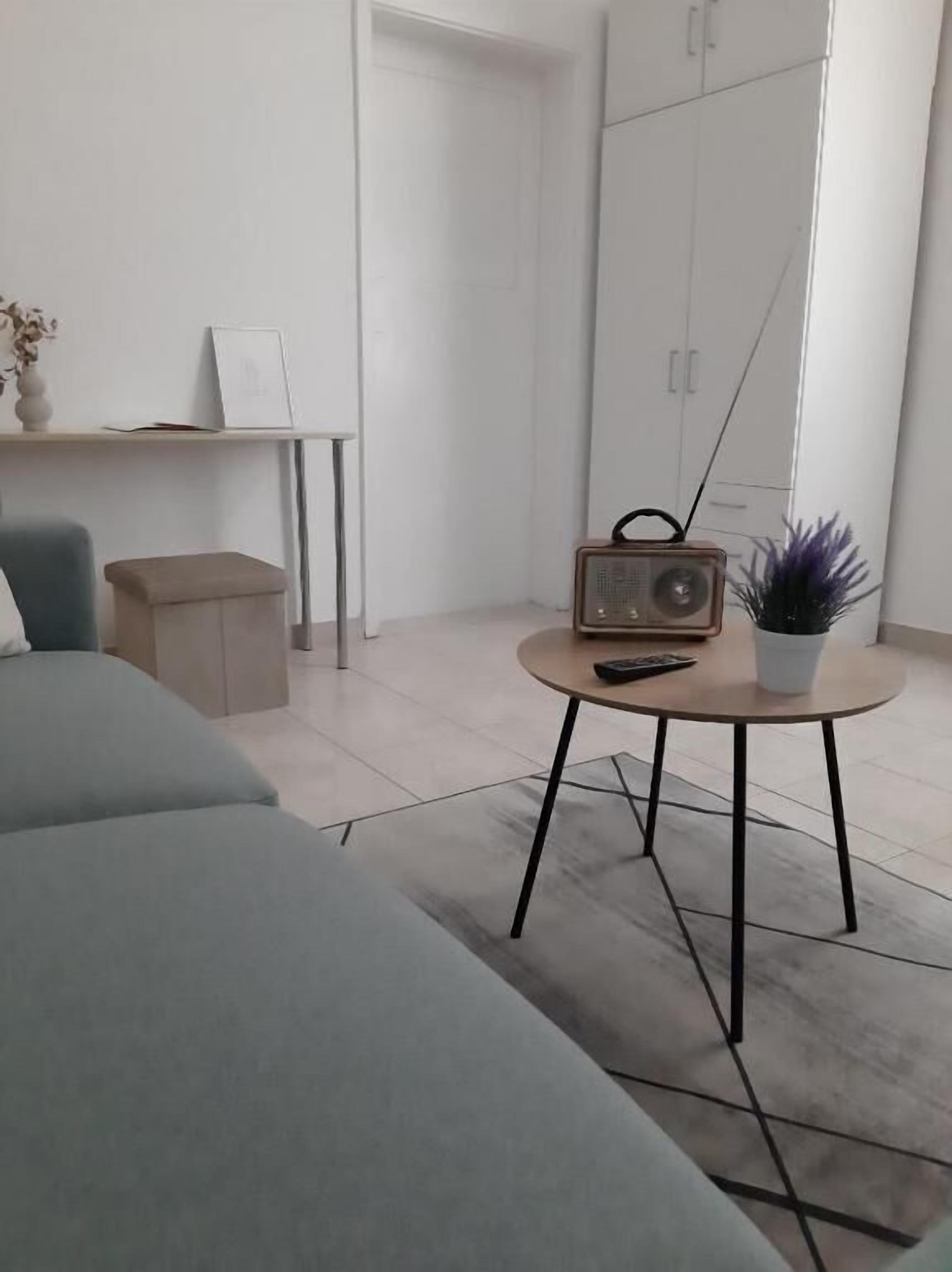 Ein modernes Zimmer mit einem grauen Sofa, einem kleinen runden Tisch mit einem Radio, einer Topfpflanze und einem Schrank im Hintergrund.