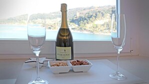 A bottle of Müller Thurgau fruit wine, two empty wine glasses, and a small dish with nuts on a table by a window with a scenic view.