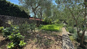 A garden with a stone wall, various plants, and a pathway. - Apartment Prelec (Crikvenica)