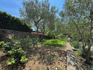 Ein Garten mit einer Steinmauer, unterschiedlichen Pflanzen und einem Weg.