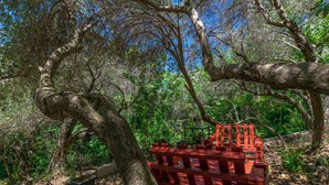 A red wooden bench in a forested area with trees and greenery. - Apartments Zeljana on the Beach (Podgora)