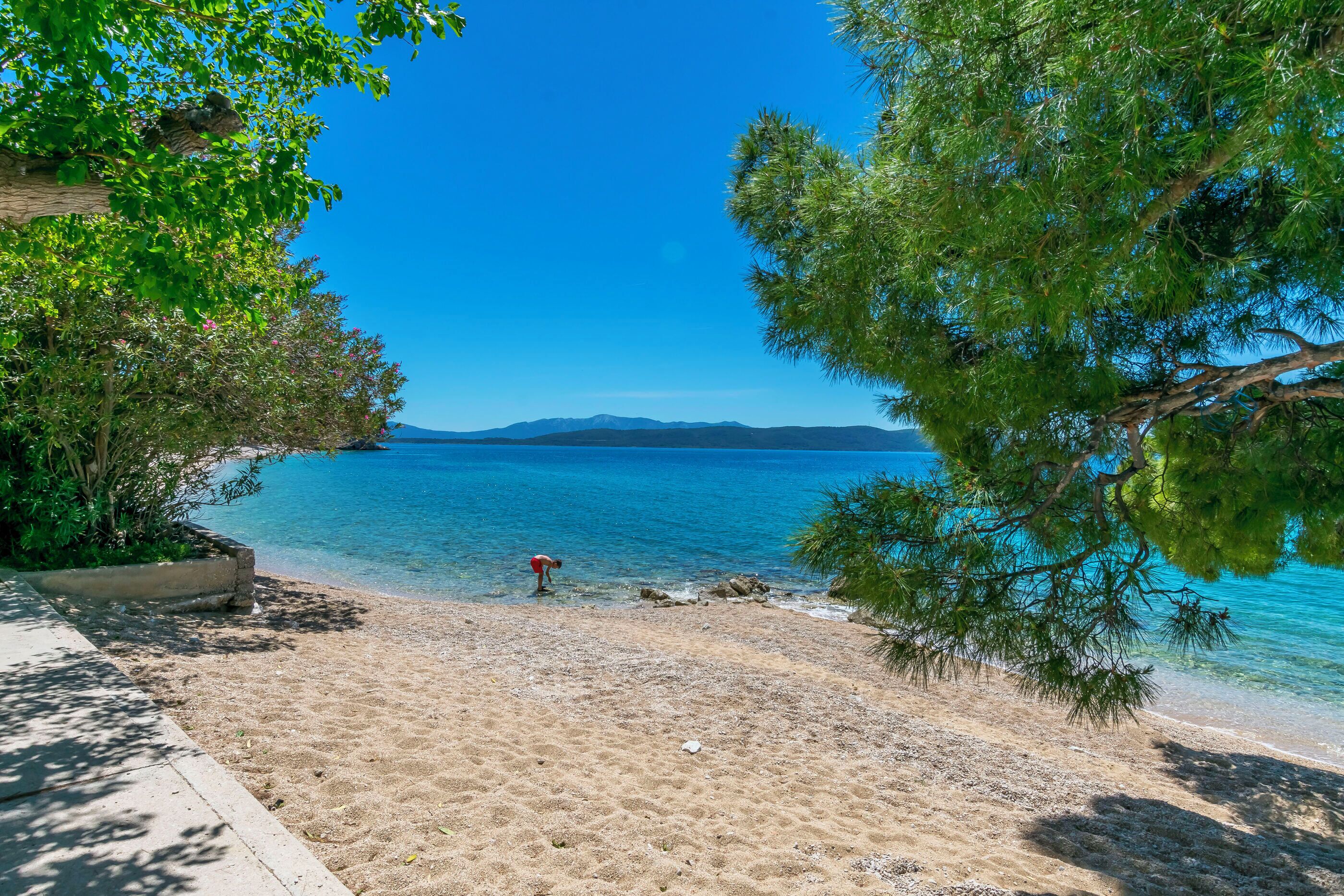A beach with clear blue water, a person in the water, and trees framing the view.