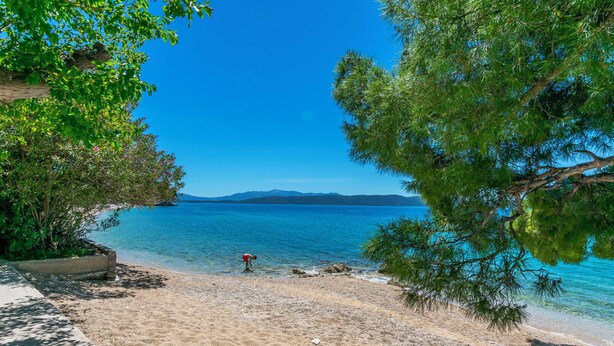 A beach with clear blue water, a person in the water, and trees framing the view. - Apartments Zeljana on the Beach (Podgora)