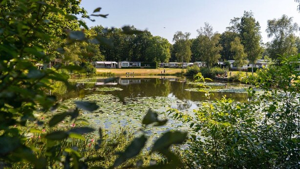 Søudsigt med en række hytter, en badebro og frodig vegetation omkring.