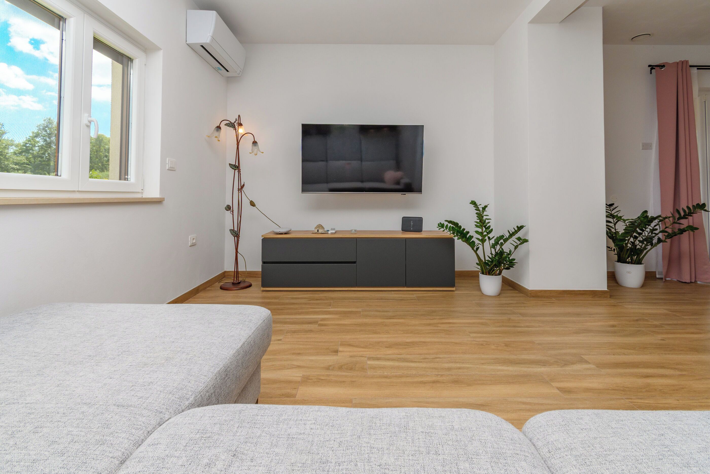 A modern living room with a sofa, a TV mounted on the wall, a wooden floor, and a potted plant.