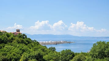 Un paisaje costero con una vista despejada del mar, un horizonte urbano distante y una colina con follaje verde y tupido.