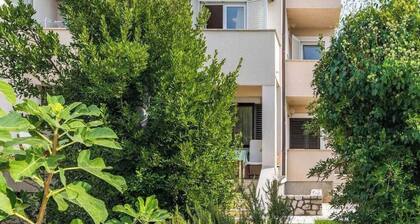 Apartments Molly