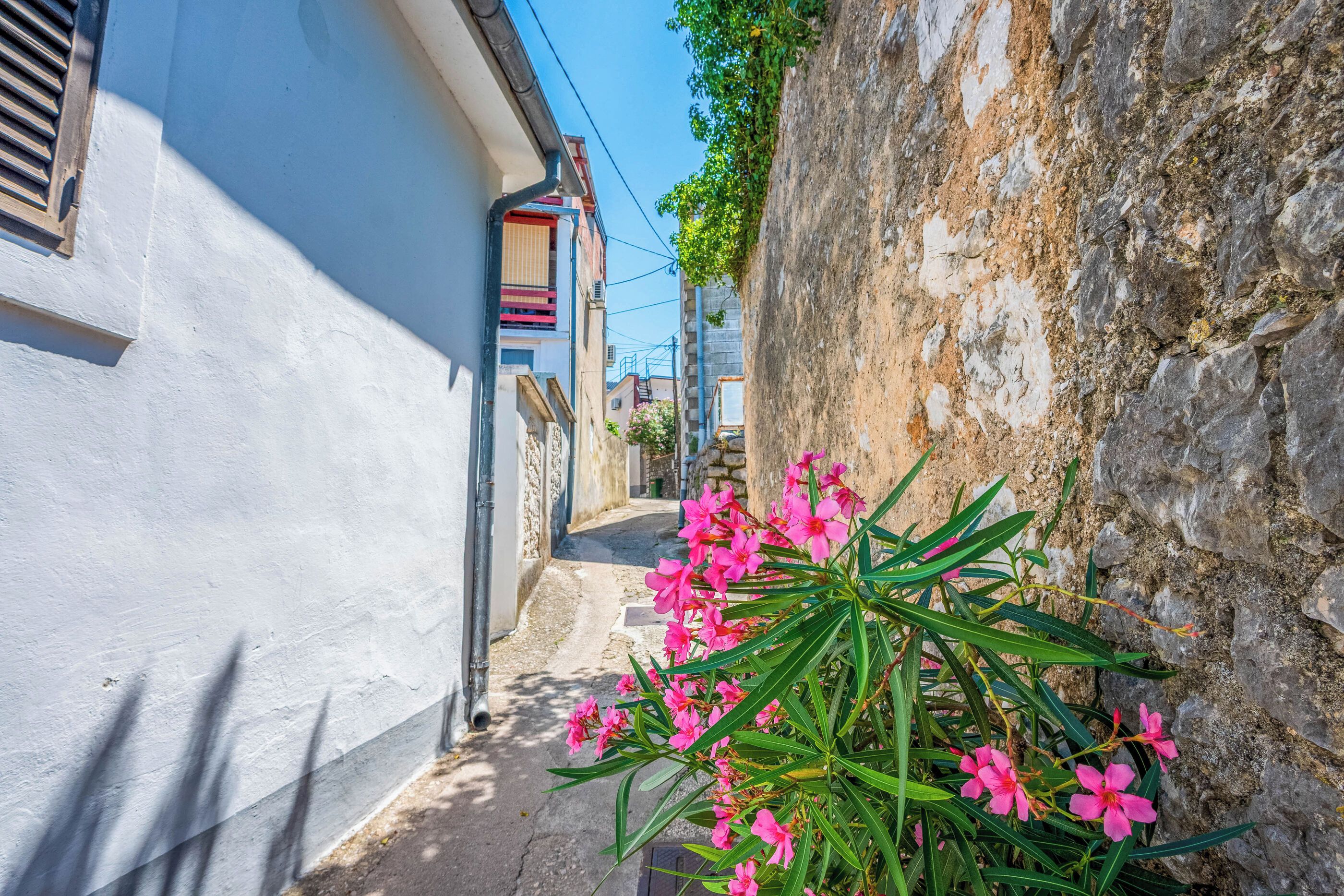 A narrow street with white buildings, a stone wall, and pink flowers in the foreground.