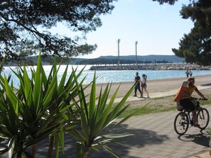 Un chemin pavé longe un plan d’eau, où l’on peut voir des gens se promener et faire du vélo, le tout étant bordé de verdure.