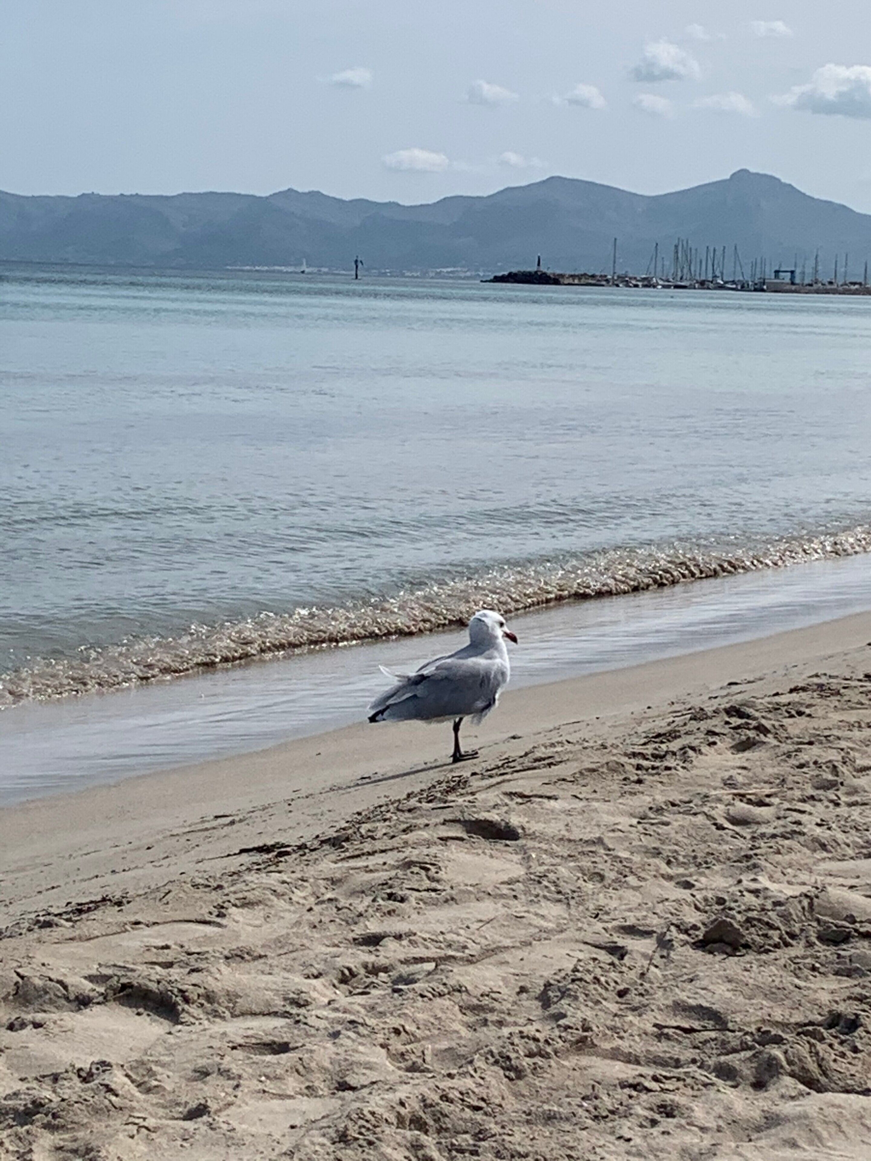 Plage