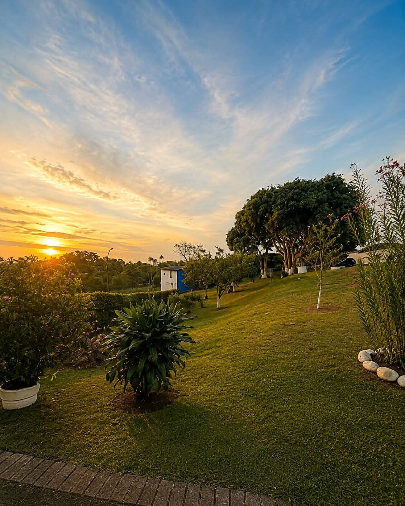 Un jardin aménagé, avec une grande variété de plantes et un petit bâtiment, probablement une maison d’hôtes ou un chalet, sous un ciel au coucher du soleil.