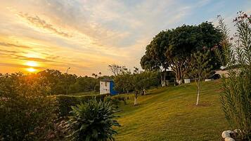 Un jardin aménagé, avec une grande variété de plantes et un petit bâtiment, probablement une maison d’hôtes ou un chalet, sous un ciel au coucher du soleil.