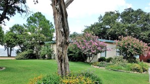 Ein Garten mit Rasen, einem Baum und blühenden Büschen.