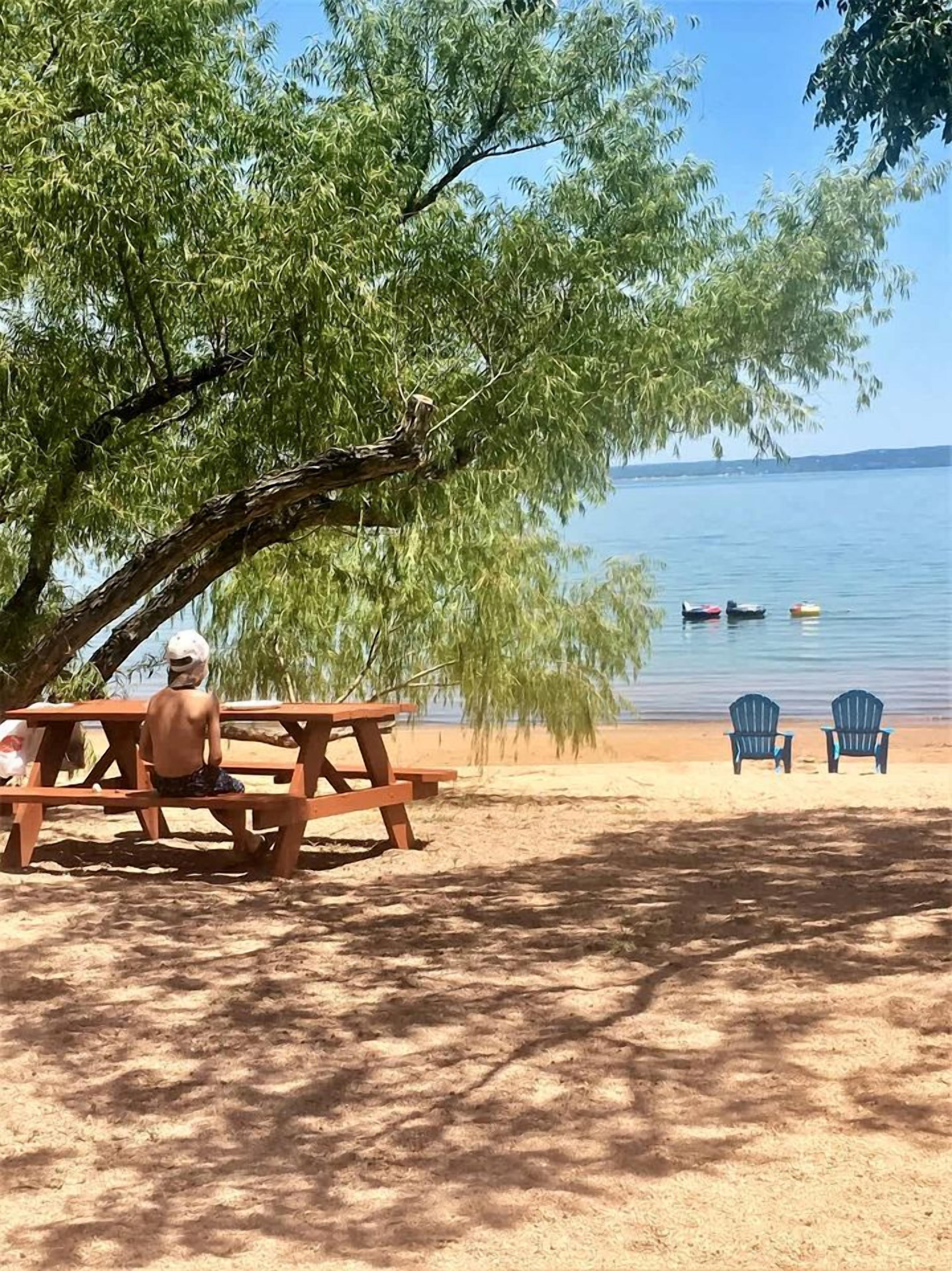 A beach scene with a picnic table, two Adirondack chairs, and a person sitting under a tree.