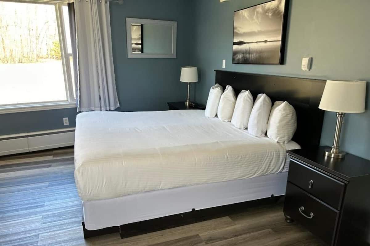 Suite, 1 King Bed | WiFi (free)