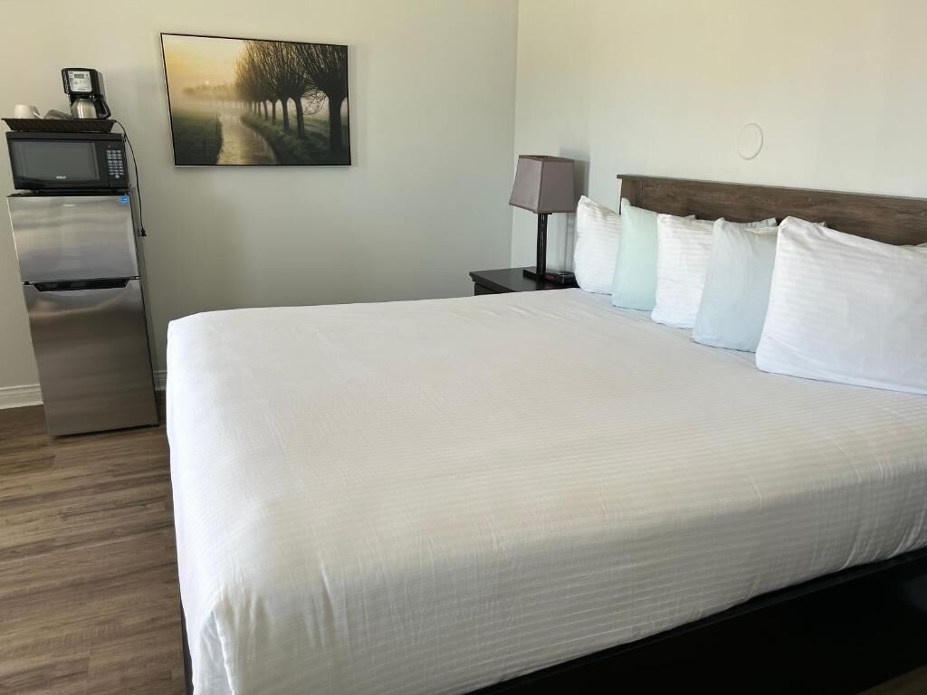 A hotel room with a large bed, a microwave, a refrigerator, a nightstand with a lamp, and a painting on the wall.