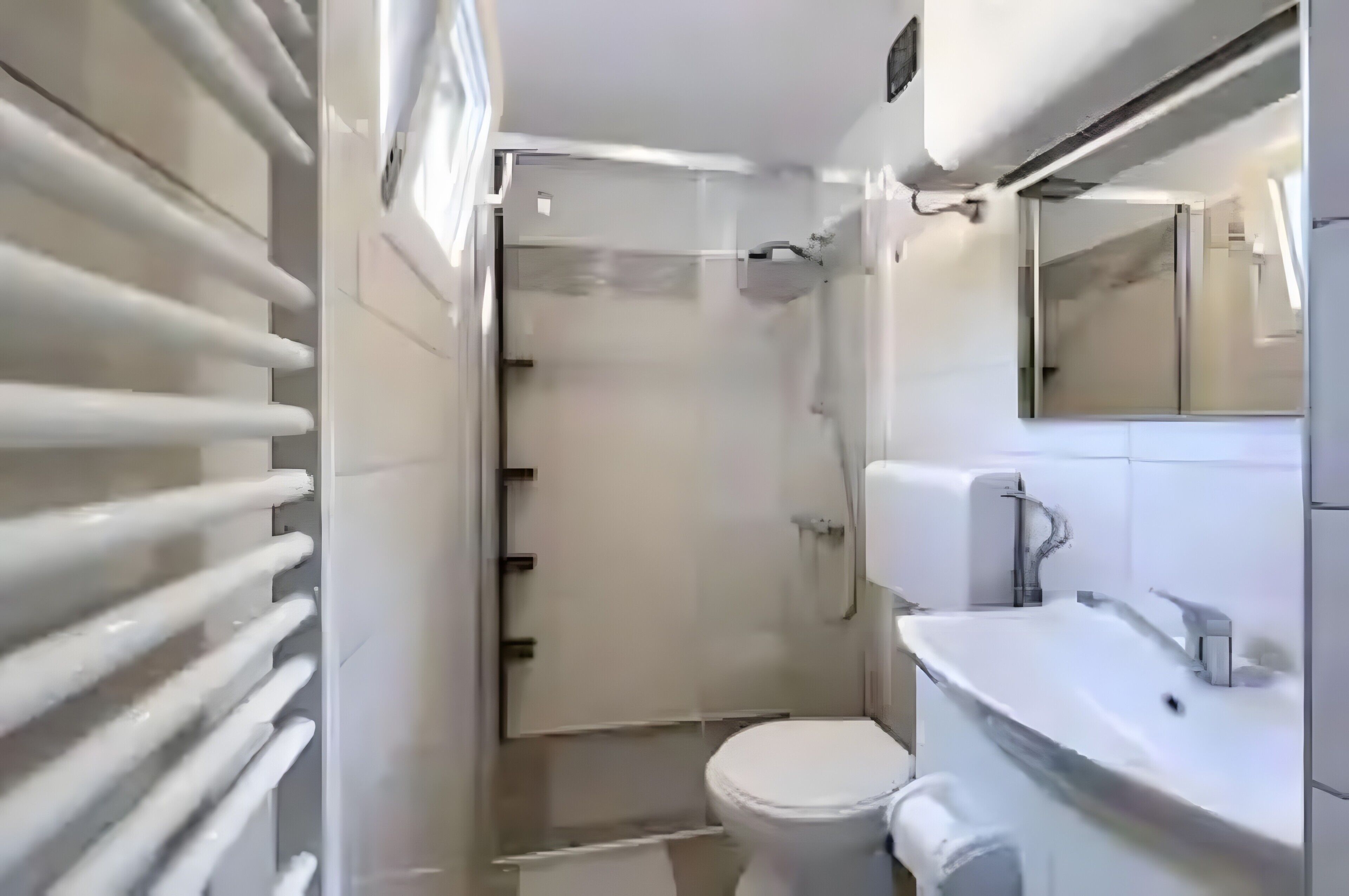 Shower, hair dryer