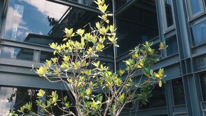 外観の詳細