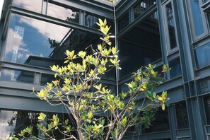 Un edificio con varias ventanas y un árbol en primer plano.