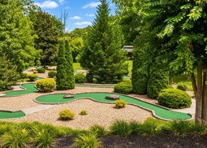 Ein Minigolfplatz, umgeben von üppigem Grün und Bäumen.