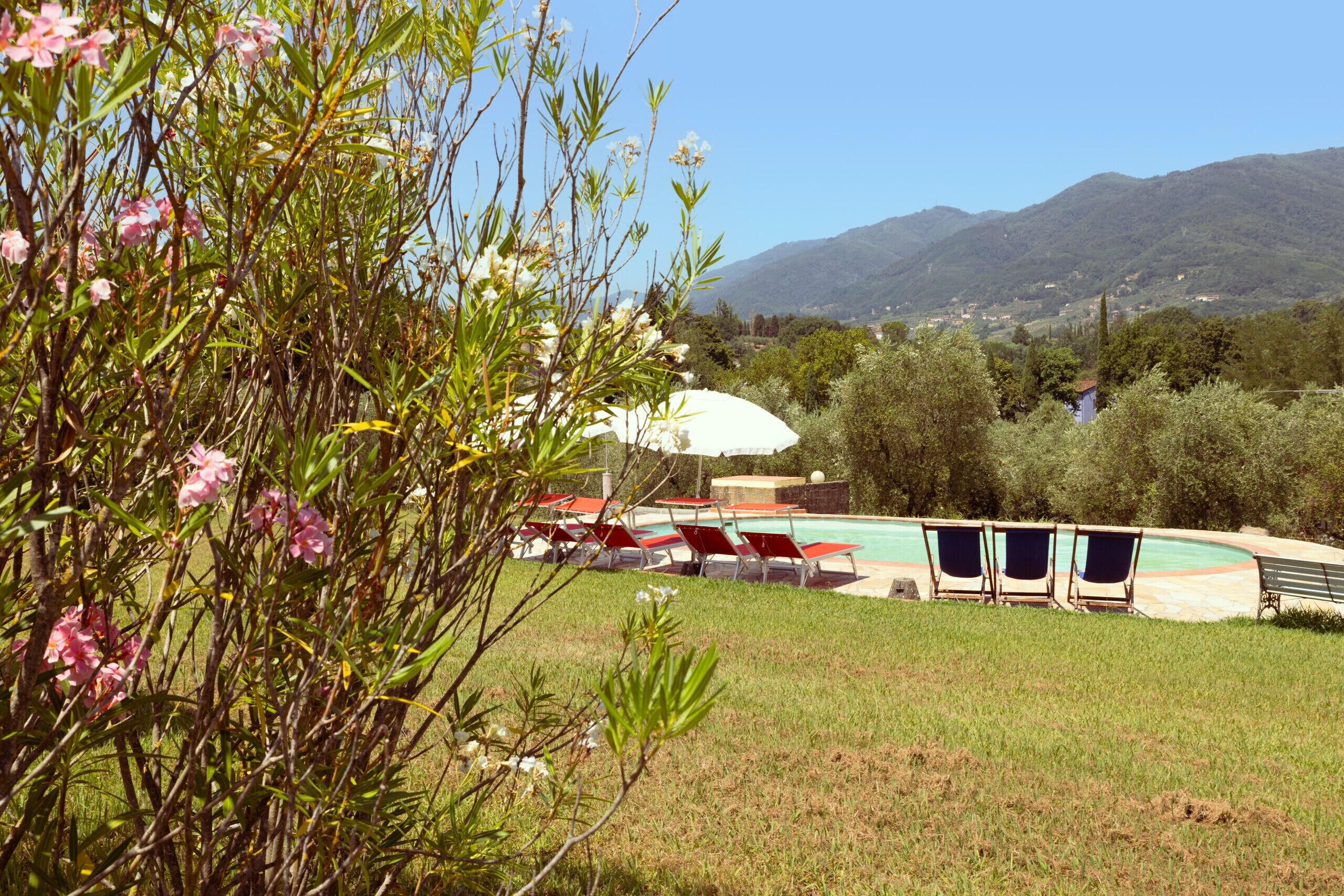 A pool area with lounge chairs and umbrellas, surrounded by greenery and hills in the background.