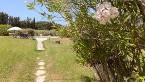 A garden with a pathway leading to a pool area, surrounded by greenery and trees. - Gaetano Spadaro Estate, La Rosa Room (Capannori)