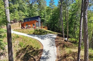 A house with a curved driveway, surrounded by a forested area. - Mountain Melody- Cozy 3-bedroom cabin with AC in Ellijay- Hot Tub + EV Charger (Ellijay)