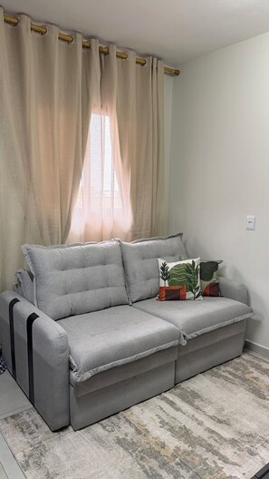 A grey sofa with a cushion, a patterned pillow, and a window with curtains.