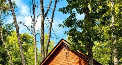 Romantic Treehouse with Forest Trails near White Mountain National Forest, Stoneham, Maine