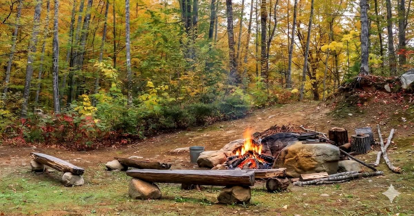 A forest scene with a campfire, logs, and rocks.