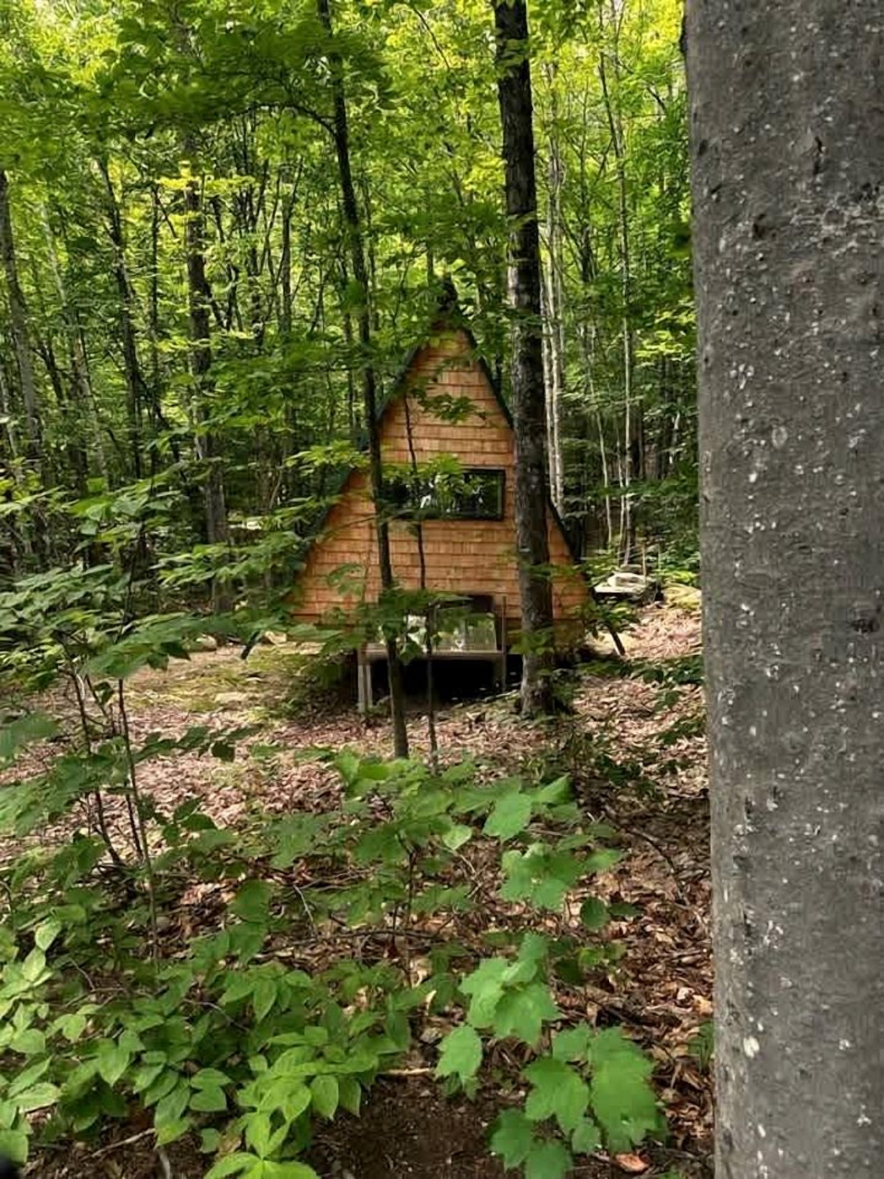 A small, triangular wooden structure in a forested area.