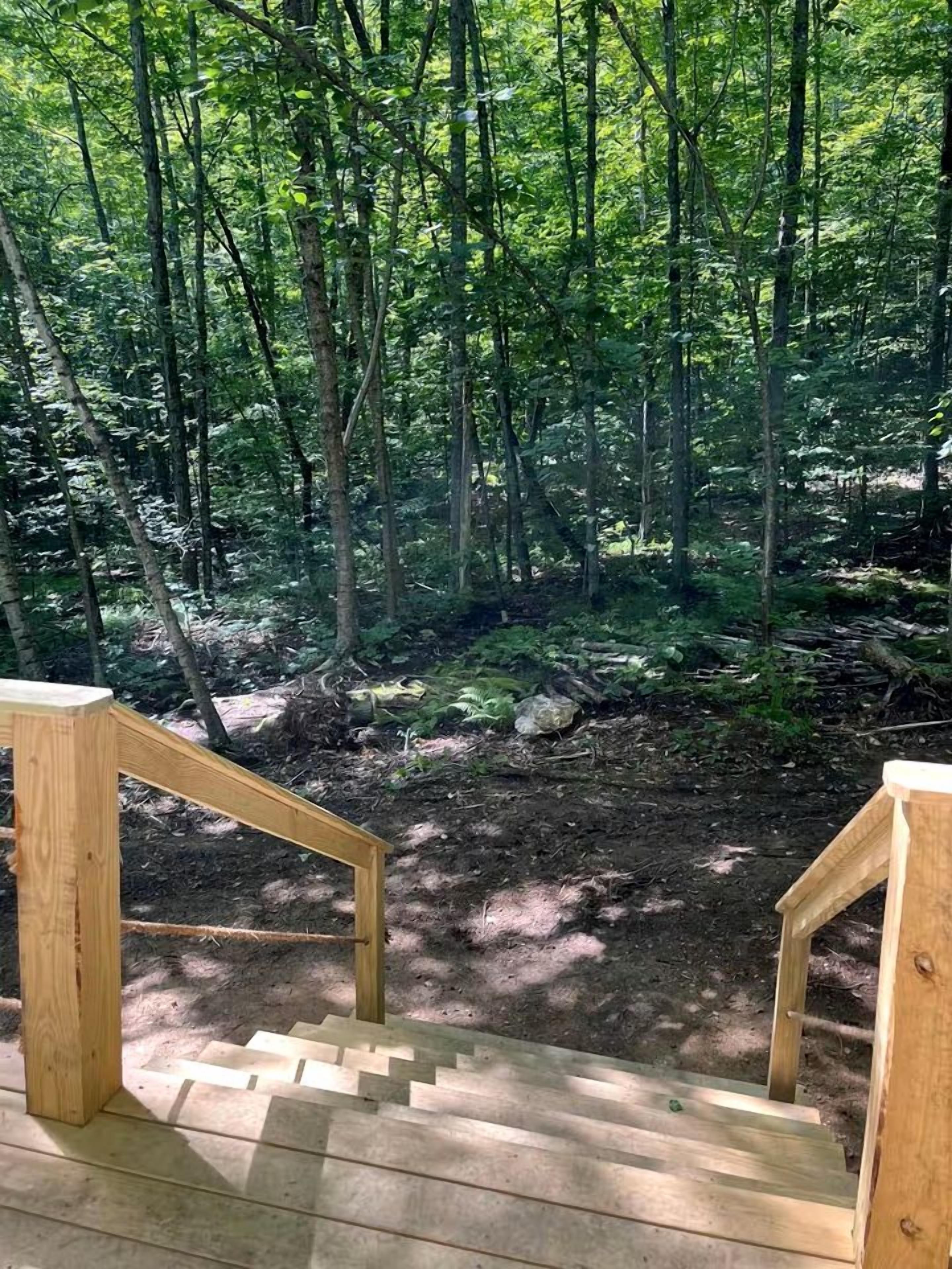 Una escalera de madera que se adentra en un bosque.