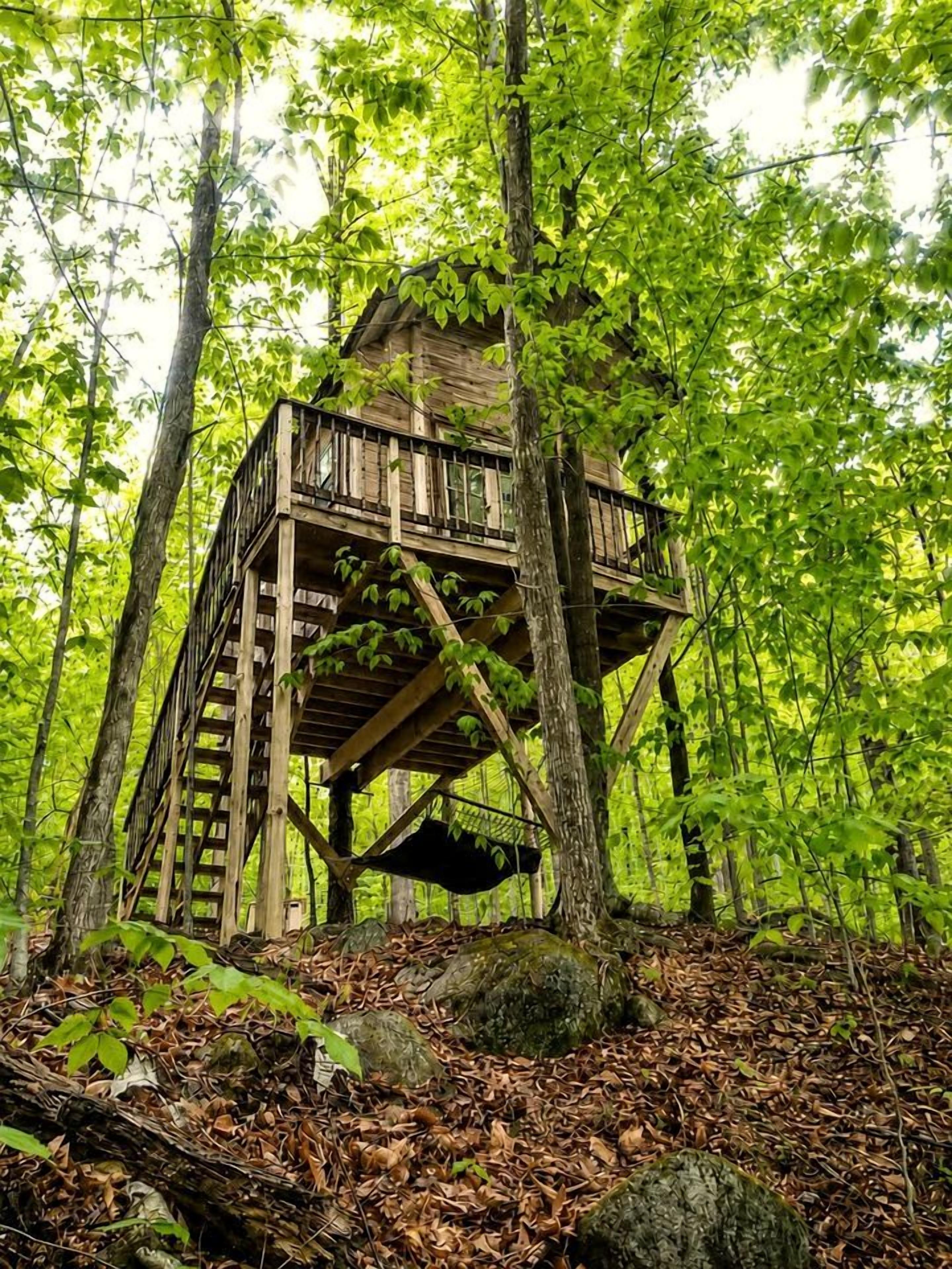 A wooden treehouse structure surrounded by dense forest.