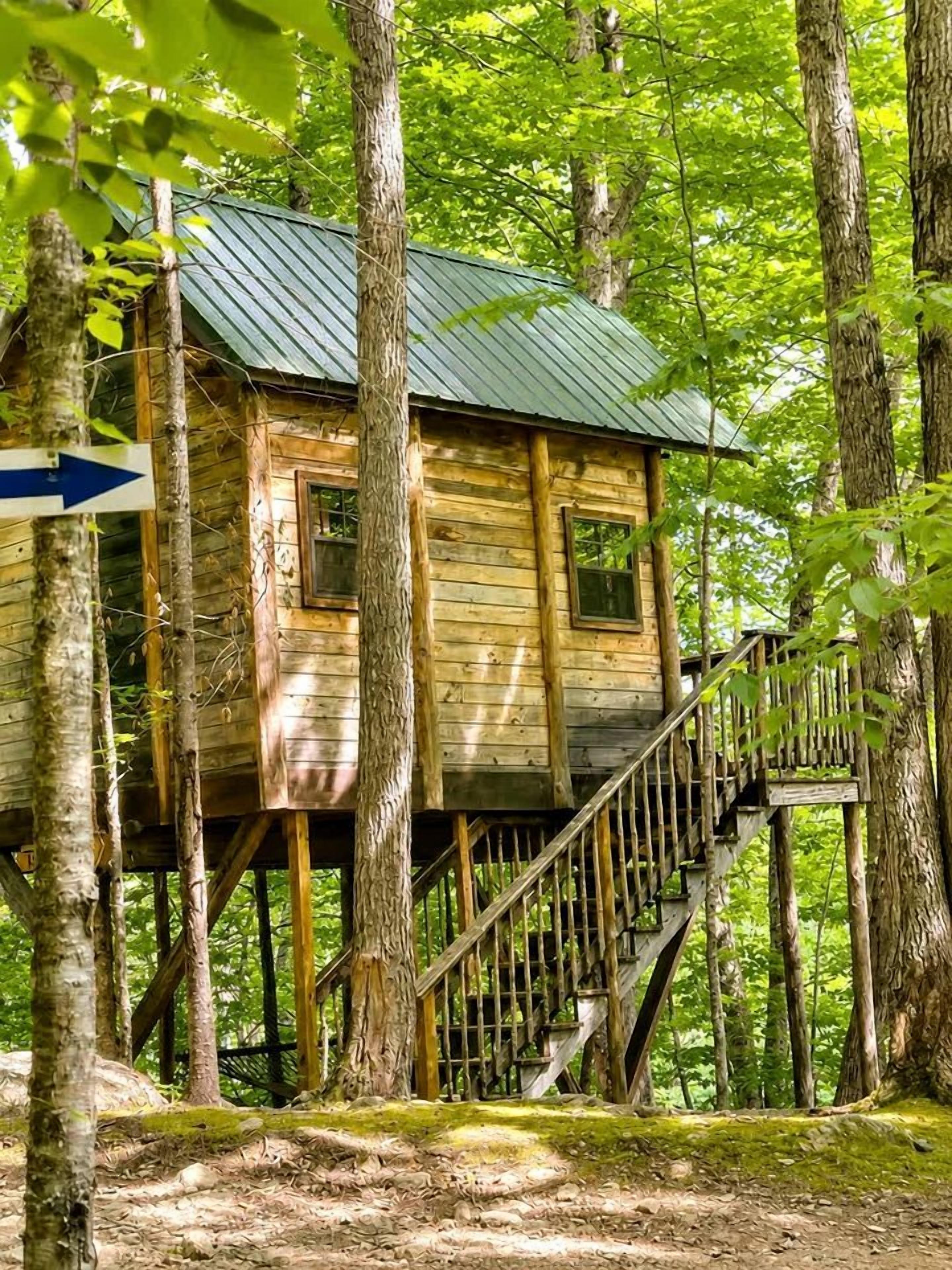 A wooden treehouse with a metal roof, surrounded by forest.