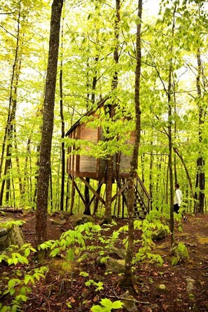 A treehouse elevated on stilts in a forested area.