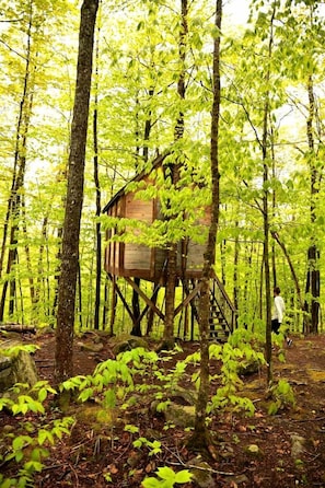 A treehouse elevated on stilts in a forested area.