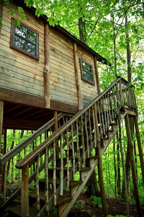 Une cabane en bois avec un escalier menant à une terrasse, entourée d’arbres.