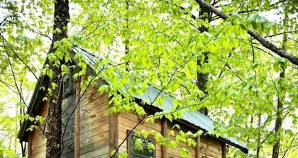 Adventure-Filled Off-Grid Treehouse near White Mountain National Forest, Stoneham, Maine