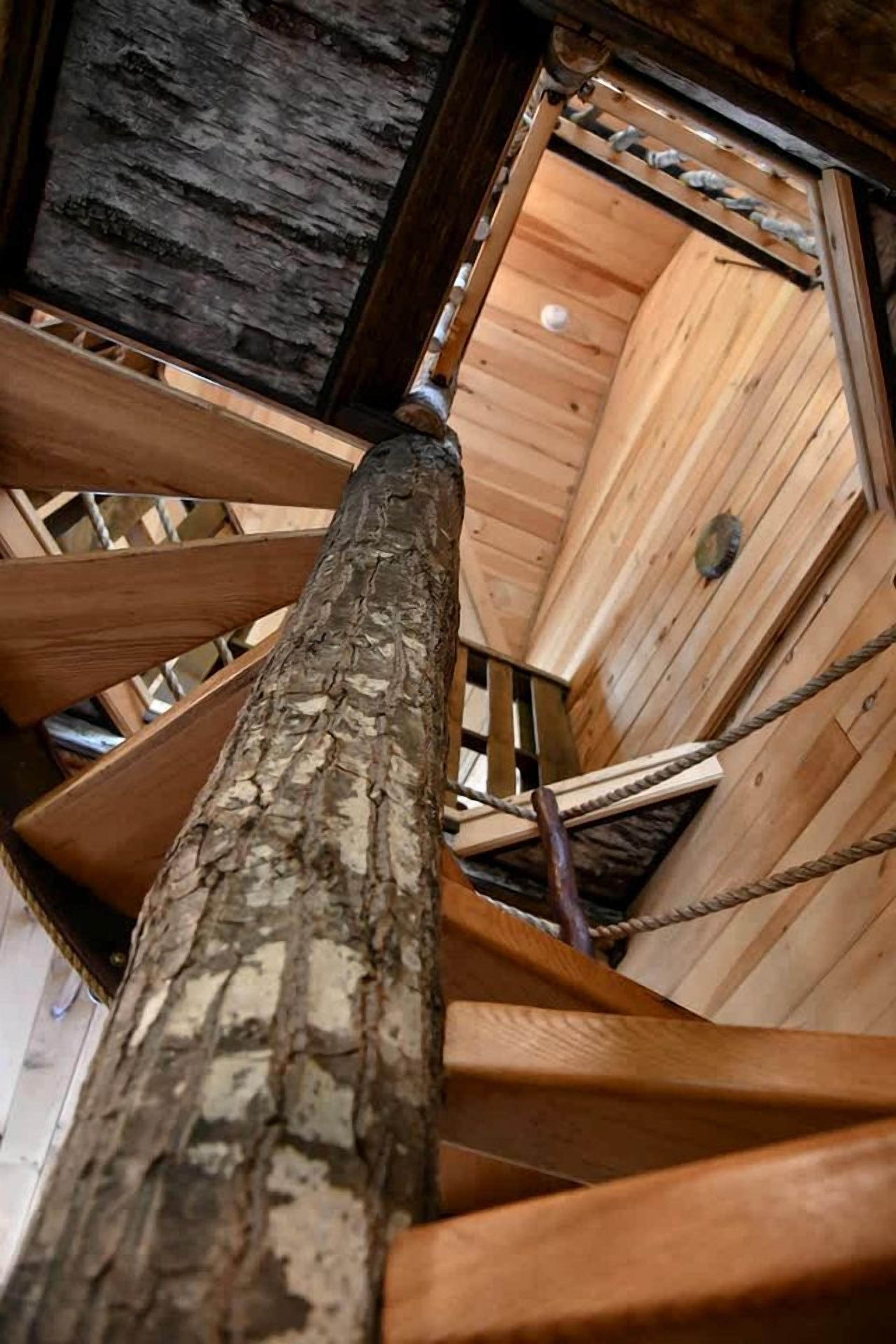 A spiral staircase with a wooden handrail and a tree trunk in the center.