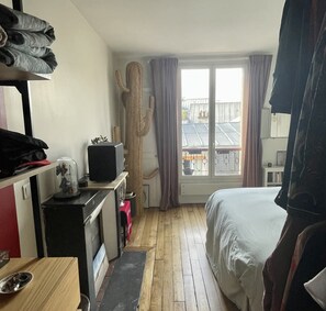 A hotel room with a bed, a television on a desk, a cactus decoration, and a view of the outside through a window. - Parisian apartment on courtyard (Paris)